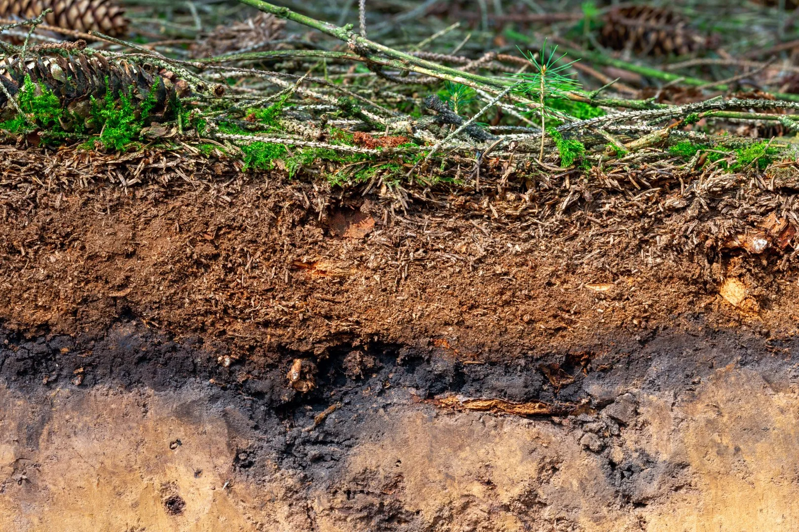 soil stabilization