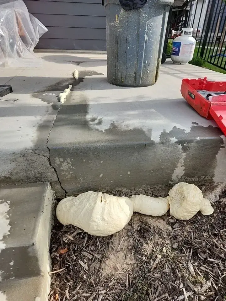 PolyFoam Solutions Concrete Lifting Layton, UT